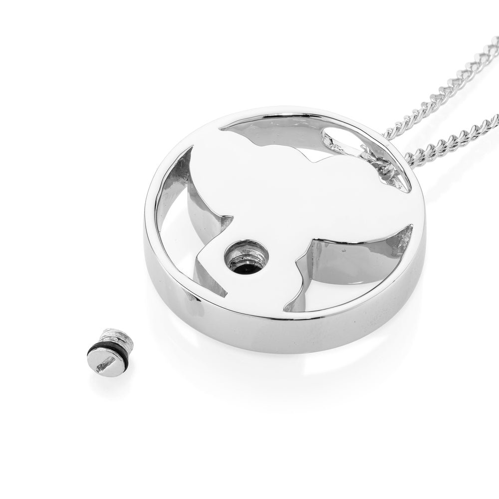 Silver pendant necklace on a white background