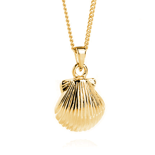 Ashlocks Shell Ashes Pendant in Gold Vermeil